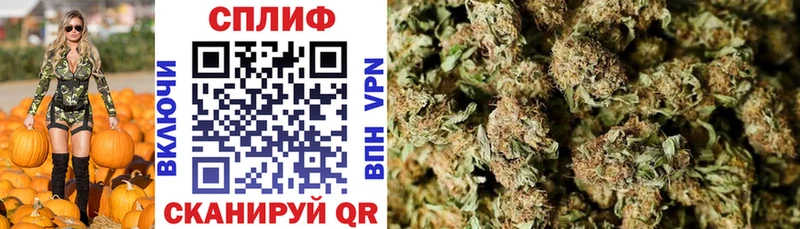 Галлюциногенные грибы Унеча