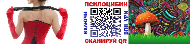 Псилоцибиновые грибы GOLDEN TEACHER  Купить  Унеча 